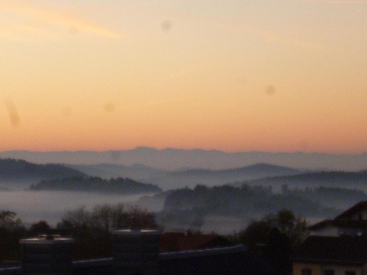 Ferienwohnungen Alpenblick Mit Garten -Panoramasauna- Kirchdorf im Wald Экстерьер фото